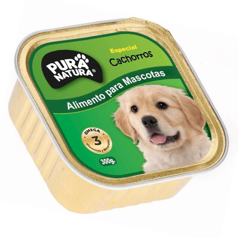 alimento humedo perro cachorro