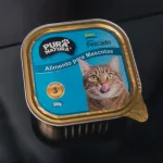 gato pescado