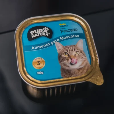 gato pescado
