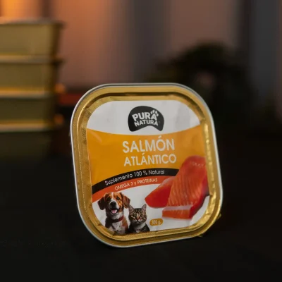 salmon atlantico